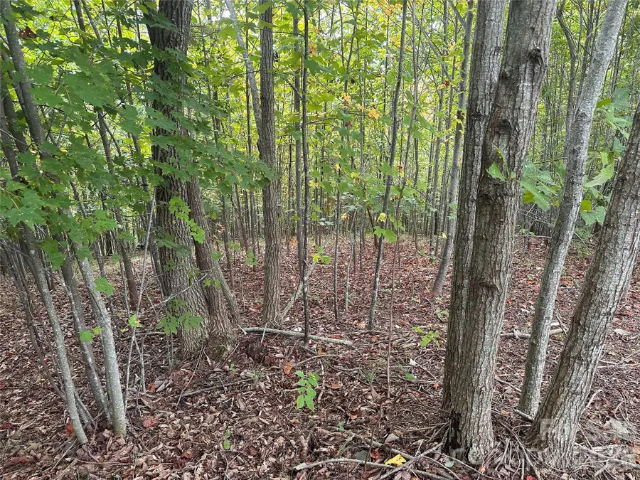 311 Scenic Vista Drive #254, Nebo, NC 28761 - #2