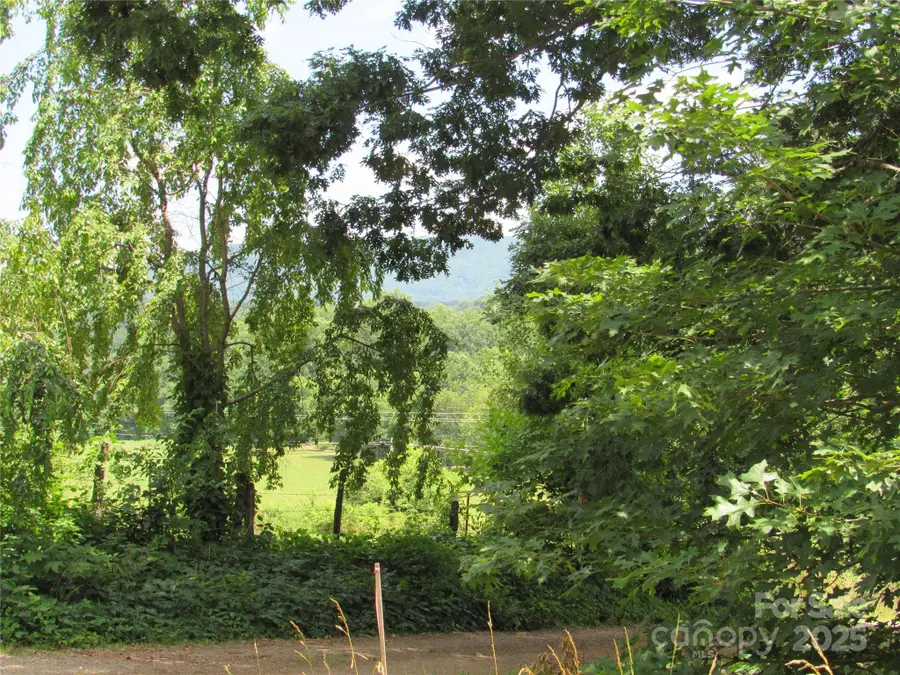 Lt#4 Mystic View Lane, Black Mountain, NC 28711 - Image #2