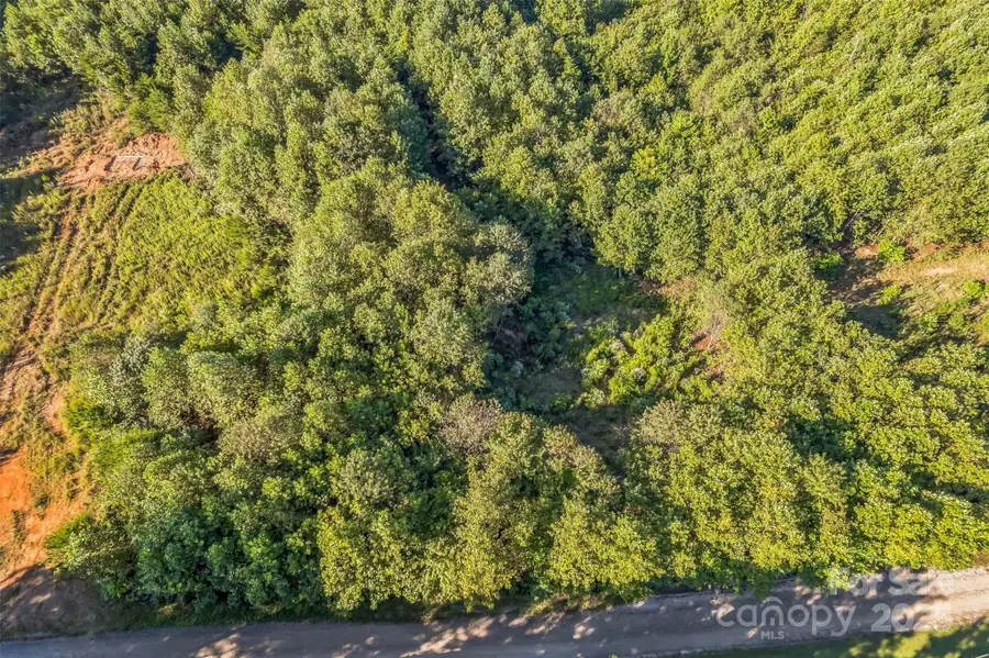 307 Rc Road, Traphill, NC 28685 - Image #2