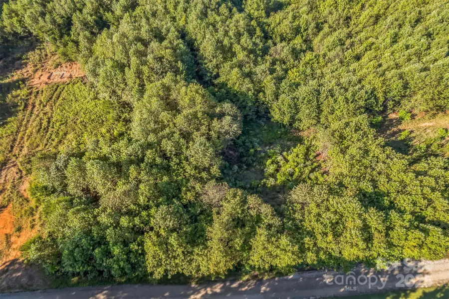 307 Rc Road, Traphill, NC 28685 - Image #3