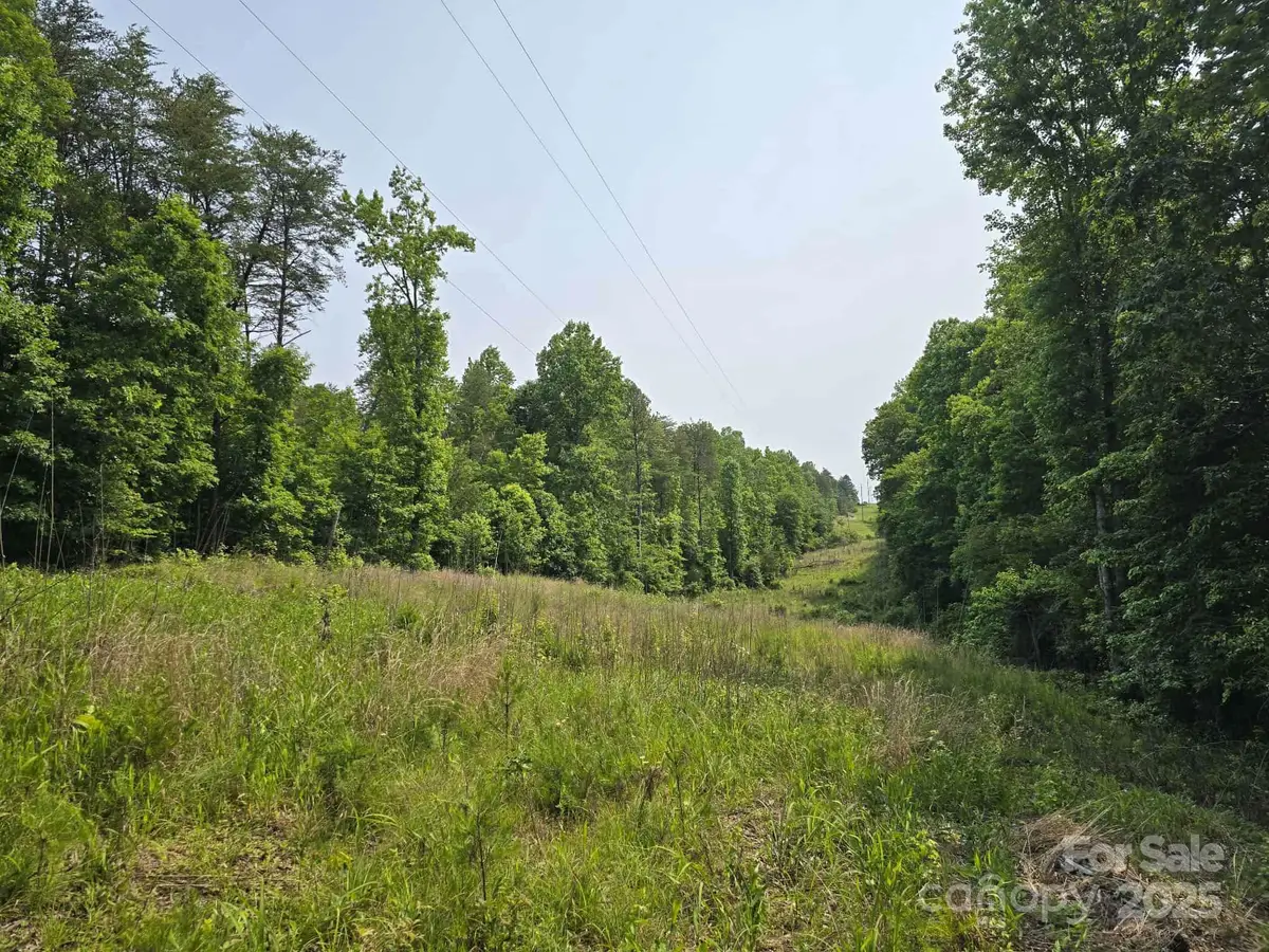 Lot 26 Grandview Drive #26, Rutherfordton, NC 28139 - Image #1