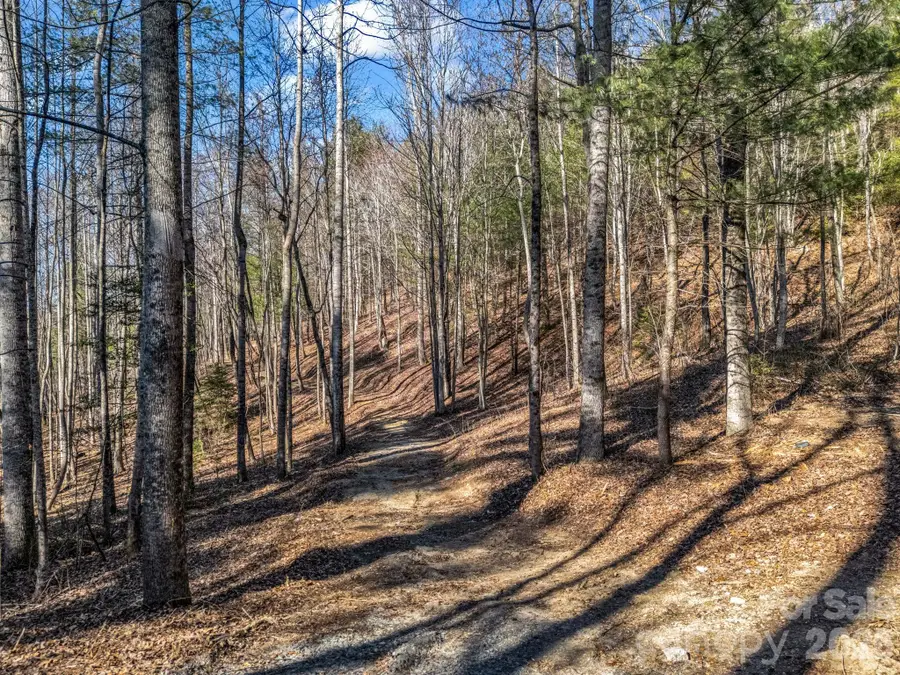 109 Justamere Lane, Hendersonville, NC 28739 - Image #3