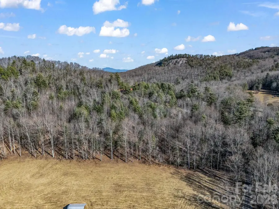 171 Justamere Lane, Hendersonville, NC 28739 - Image #3