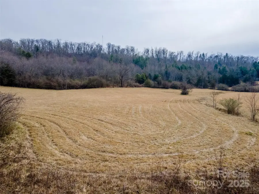 0 Georgia Road, Franklin, NC 28734 - Image #3