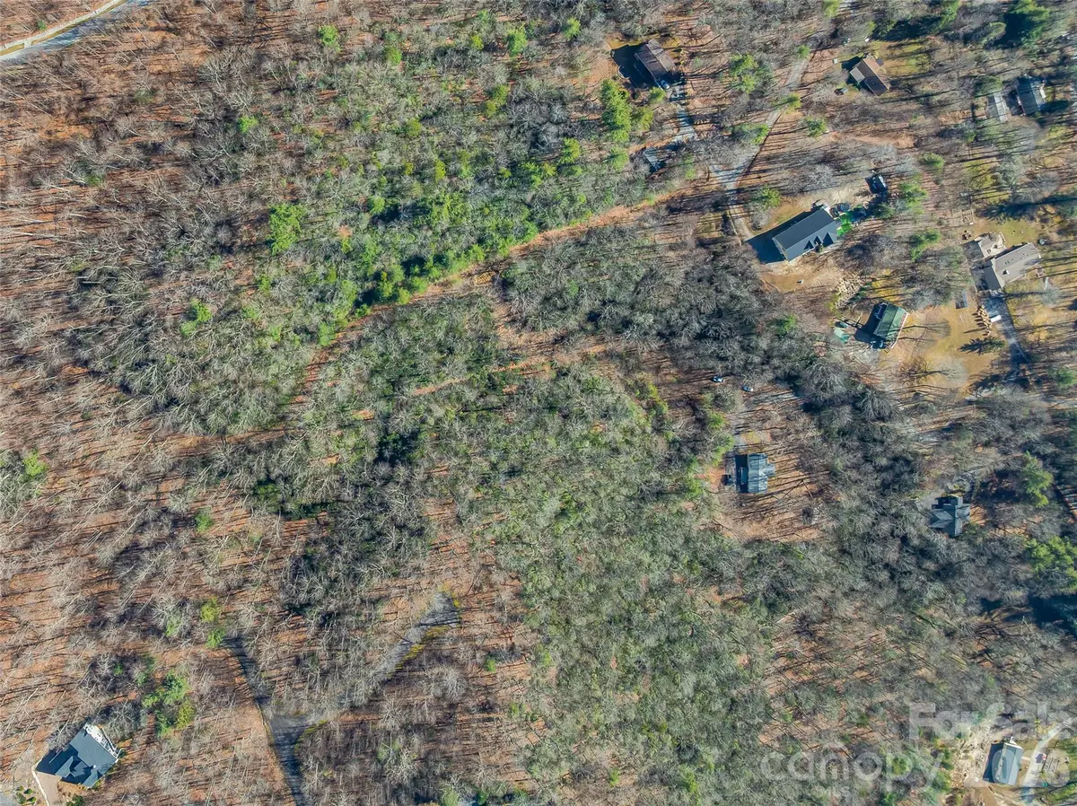 9999 Coy-evie Lane, Laurel Park, NC 28739 - Image #1