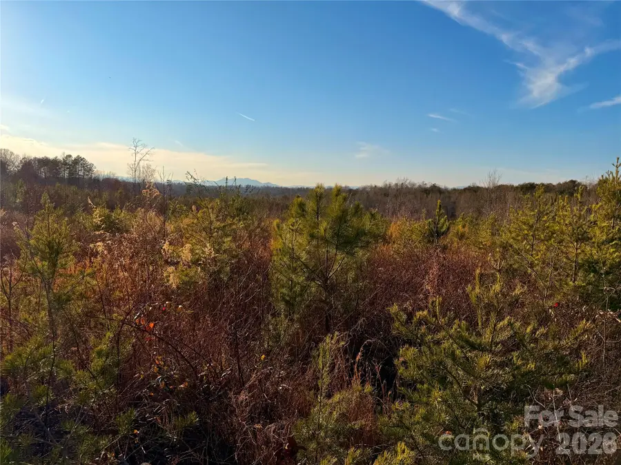 0 Brady Hampton Drive, Rutherfordton, NC 28139 - Image #2