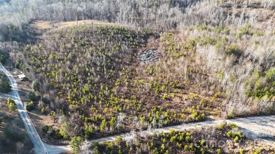 0 Brady Hampton Drive, Rutherfordton, NC 28139 - Image #3