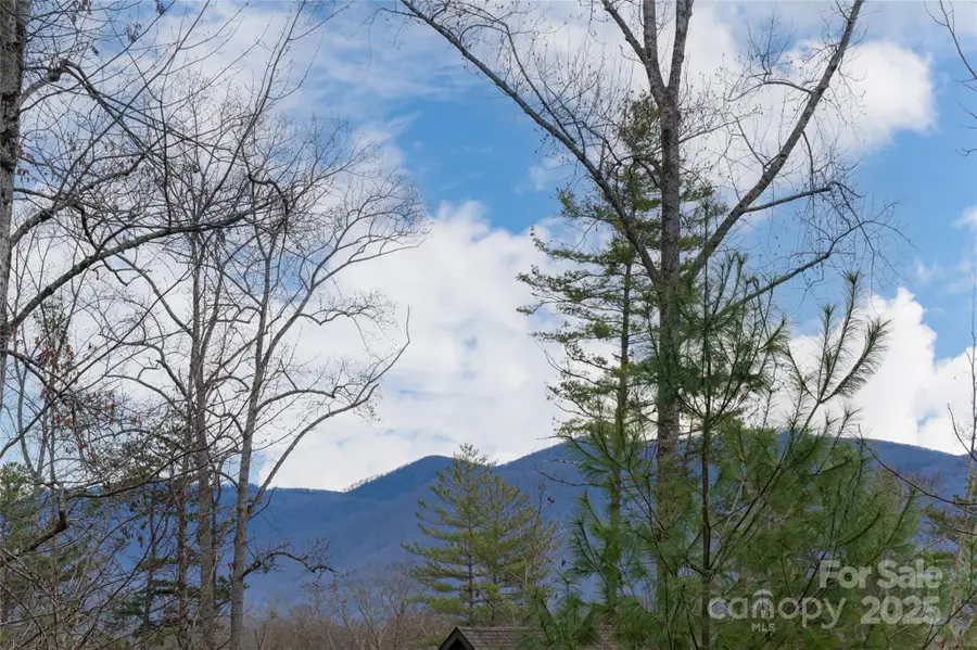 42 Towering Oaks Lane, Asheville, NC 28805 - Image #2