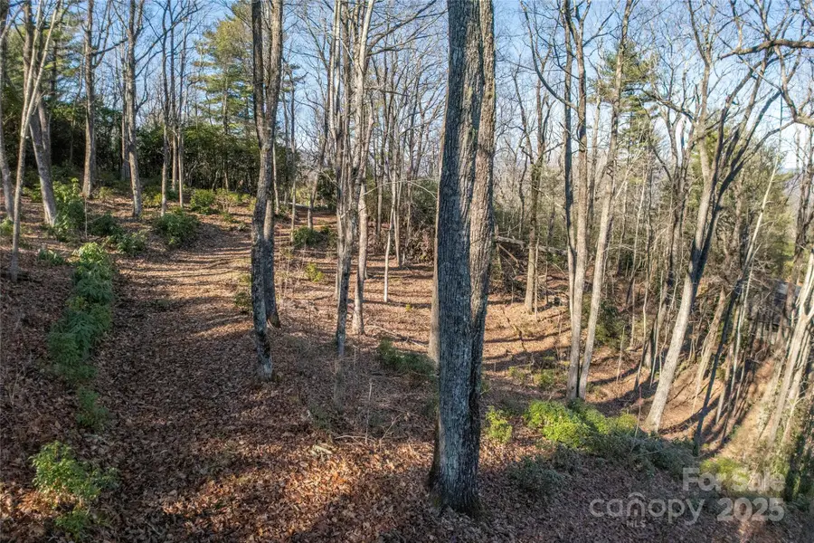 Lot 25 Lakeside Trail, Lake Toxaway, NC 28747 - Image #2