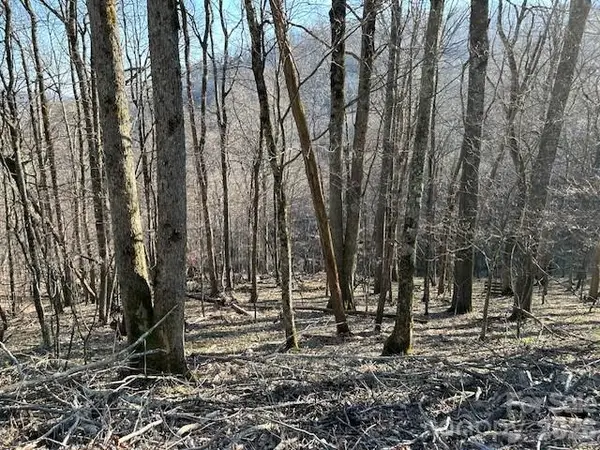 Lot 20 Trillium Lane, Mars Hill, NC 28754