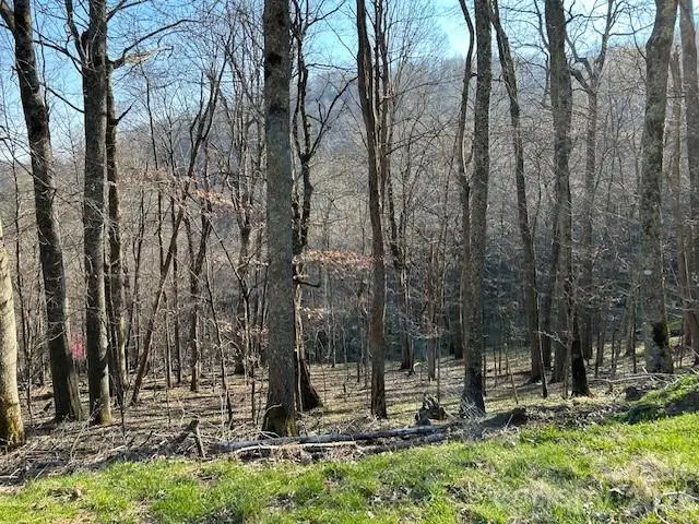 Lot 20 Trillium Lane, Mars Hill, NC 28754 - Image #2
