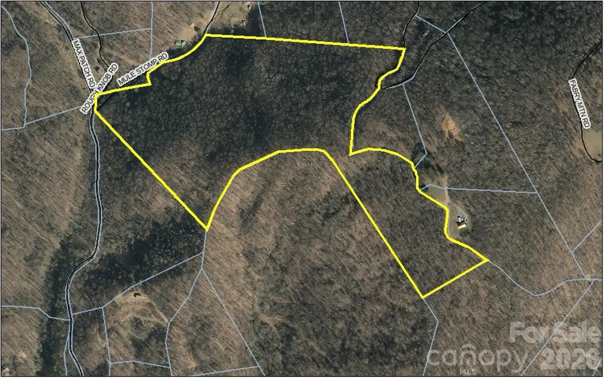 00 Mule Stomp Road, Clyde, NC 28721 - #1