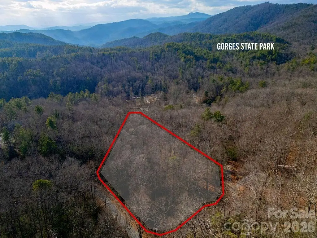 Lot 48 Fox Den Road, Brevard, NC 28712 - Image #1