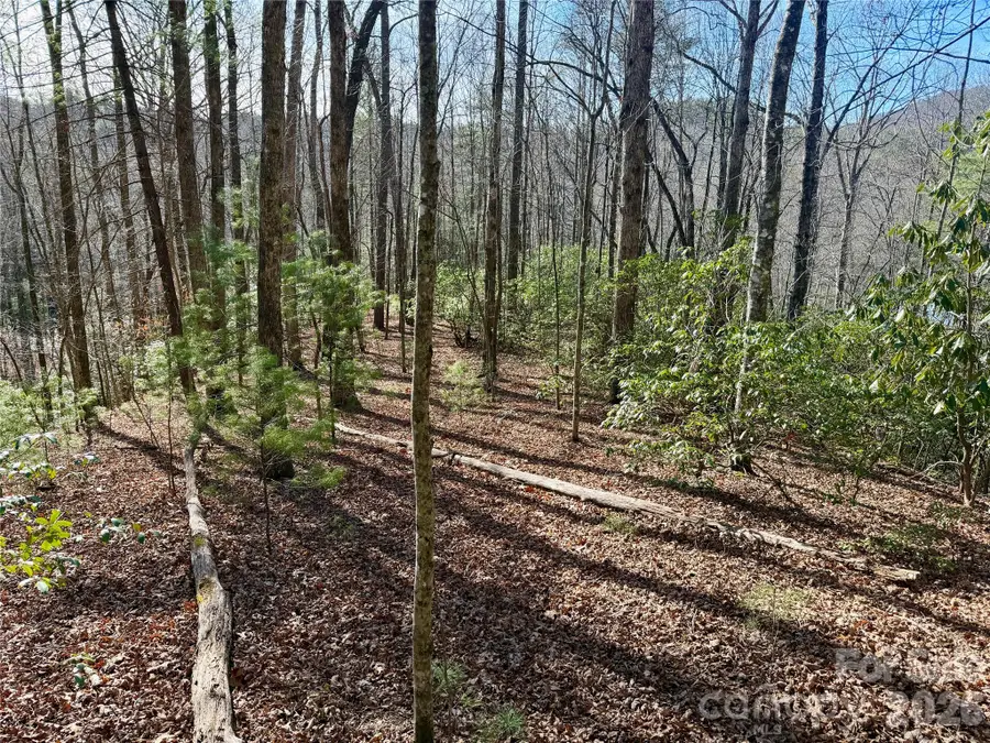 Lot 48 Fox Den Road, Brevard, NC 28712 - Image #2