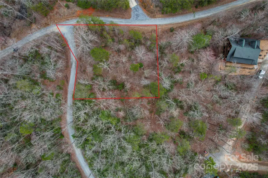 000 Bear Run Avenue #175, Lake Lure, NC 28746 - Image #2