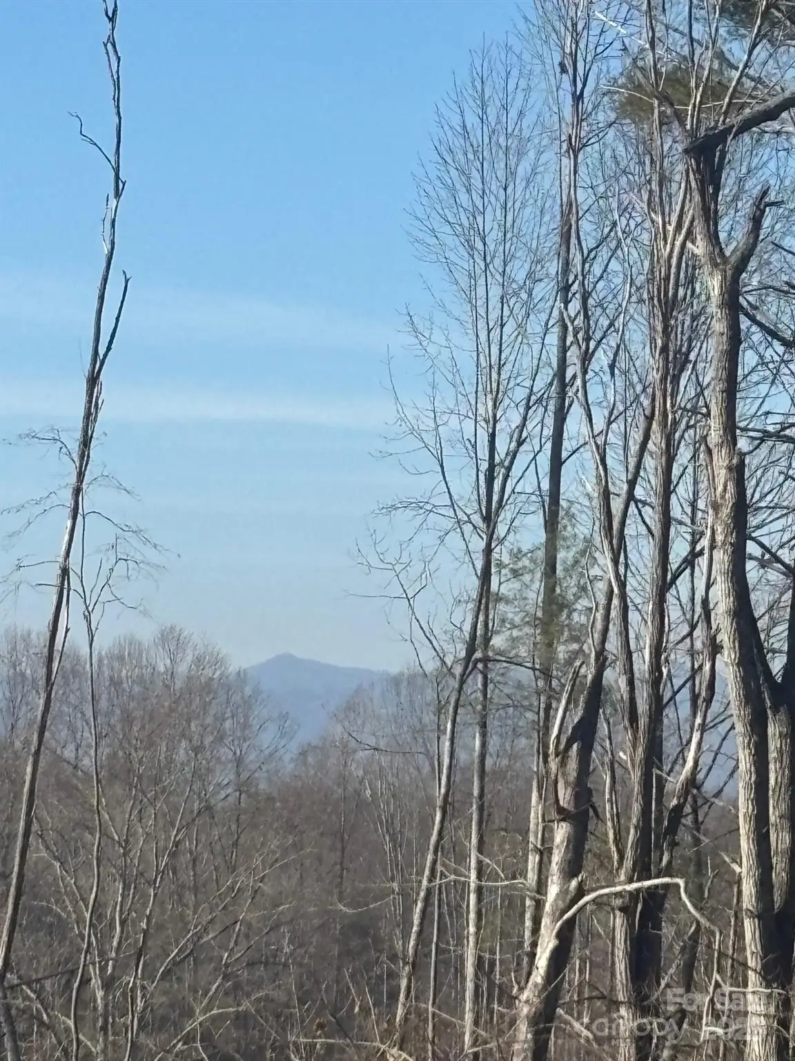 905 Hutch Mountain Road, Fletcher, NC 28732 - Image #1