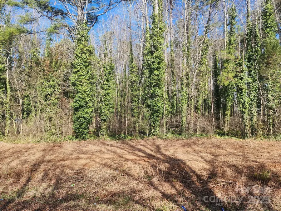 629 Powell Street, Rock Hill, SC 29732 - Image #3