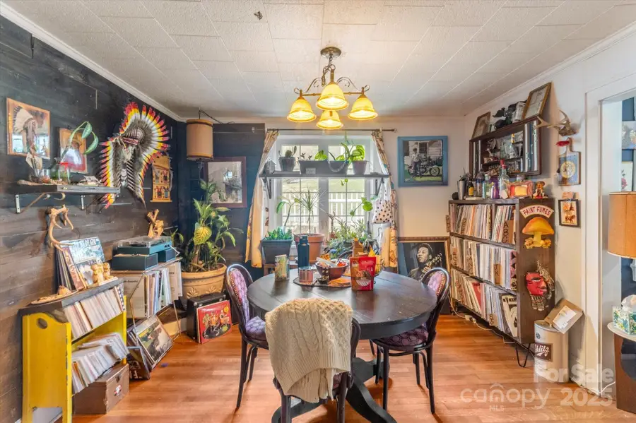 16 Sycamore Street, Asheville, NC 28804 - Image #3