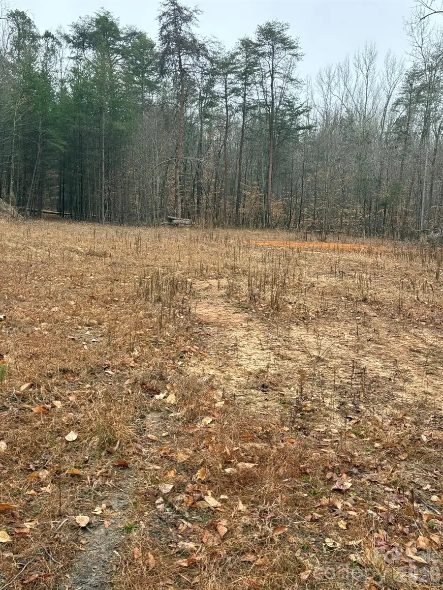 231 Creekstone Lane, York, SC 29745 - Image #3