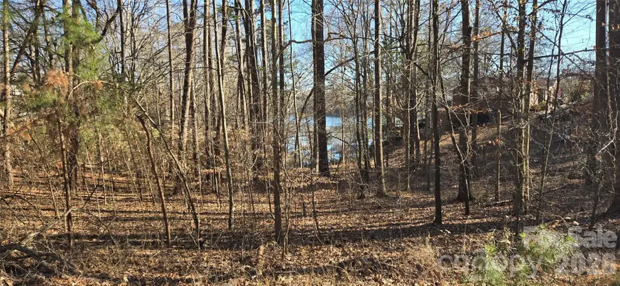 1222 Cartwright Drive, Catawba, NC 28609 - #3