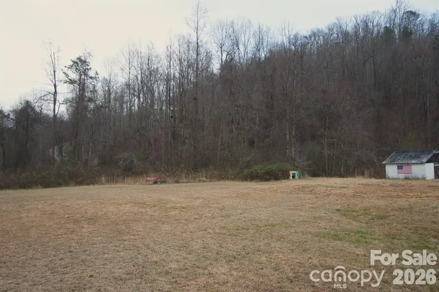 5712 Holbert Cove Road, Saluda, NC 28773 - Image #2