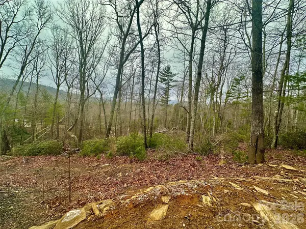 000 Orchard View Trail #11, Spruce Pine, NC 28777