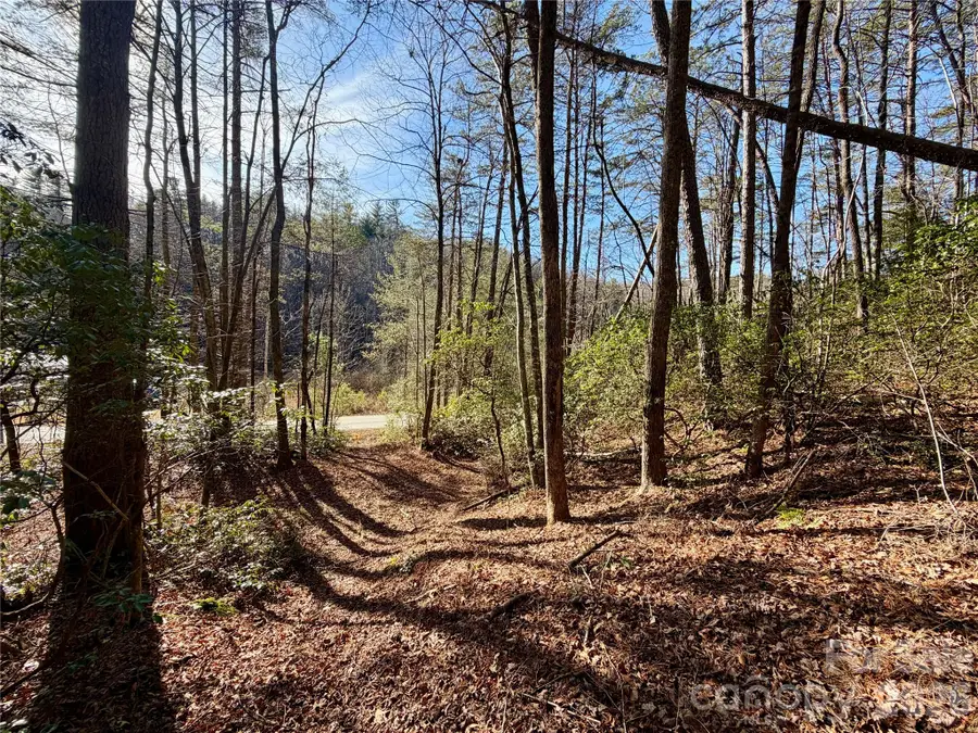 lots 35, 36 & 37 Fox Den Road #35,36,37, Brevard, NC 28712 - Image #3