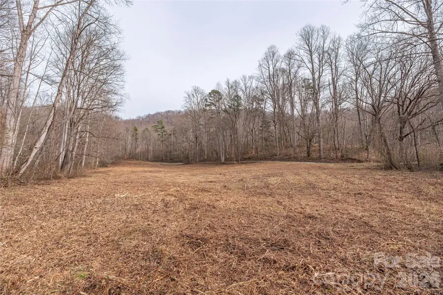 00 Carver Mountain Valley, Sylva, NC 28779 - Image #2