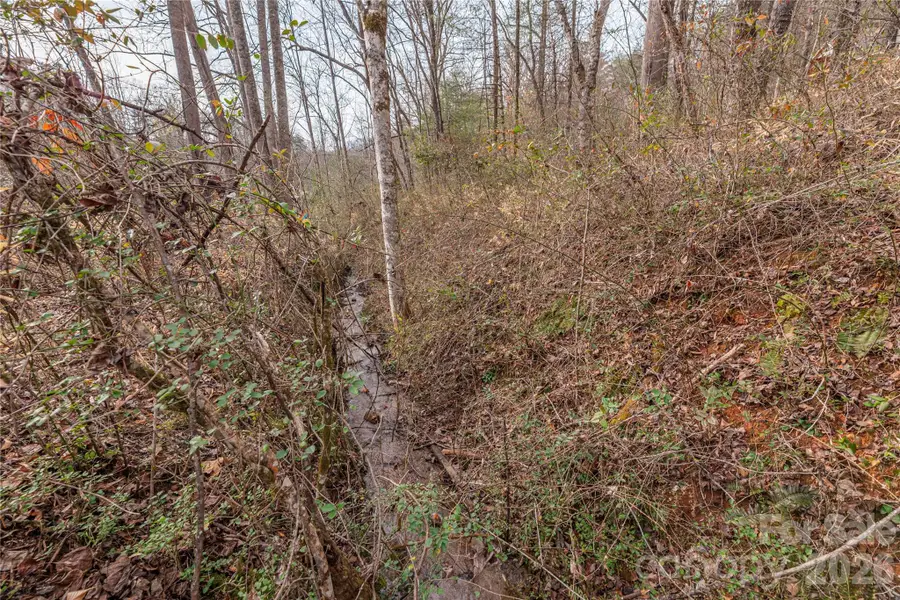 00 Carver Mountain Valley, Sylva, NC 28779 - Image #3