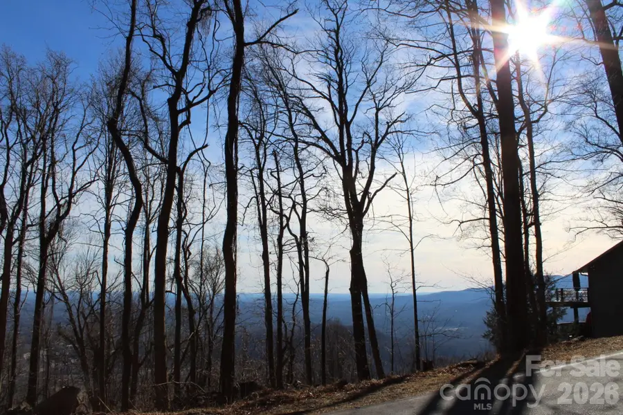 Lot 58 White Oak Mountain Road #58, Columbus, NC 28722 - Image #3