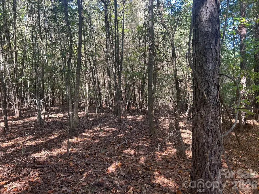 5 AC Lot 3 Ernandez Road, Richburg, SC 29729 - Image #3