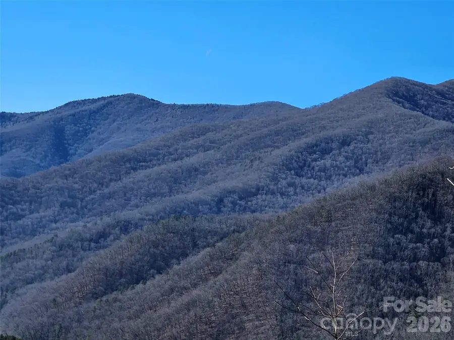 000 Blue Vista Road, Canton, NC 28716 - Image #2