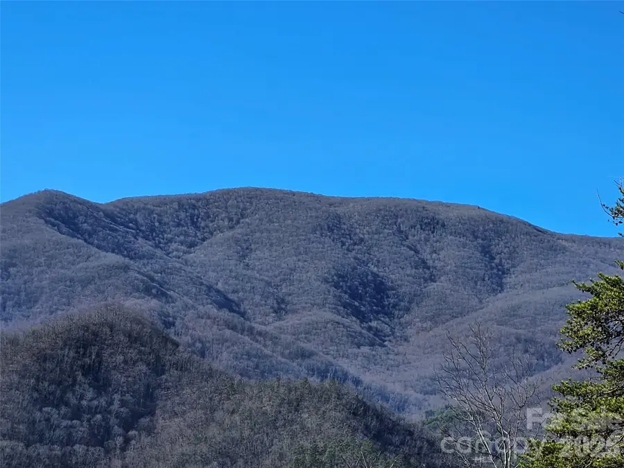 000 Blue Vista Road, Canton, NC 28716 - Image #3