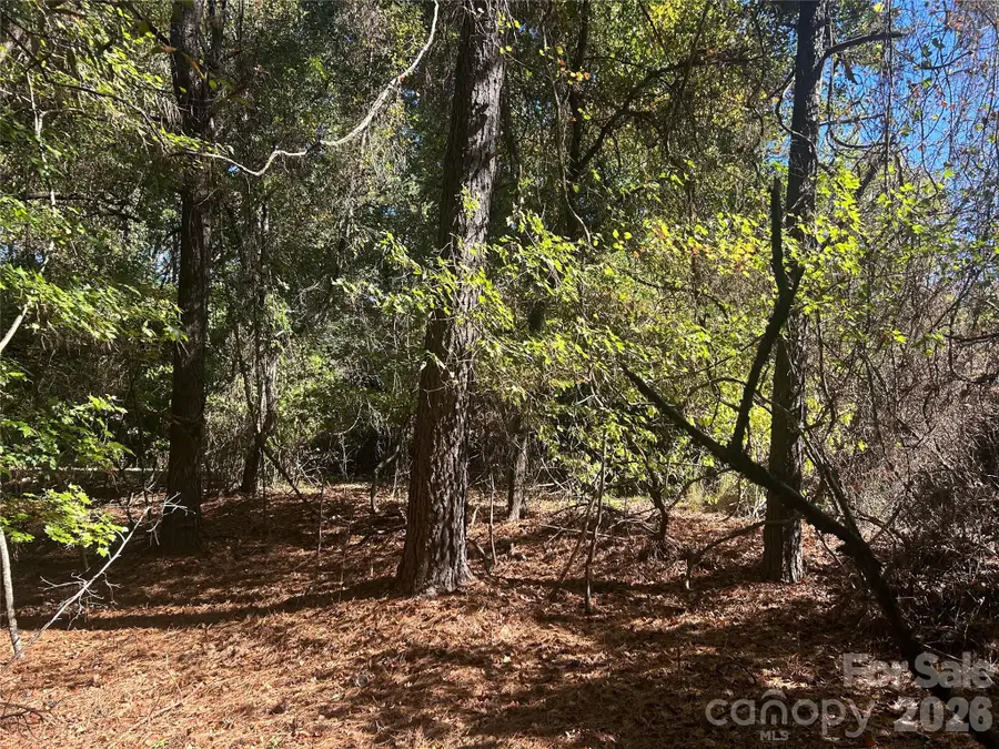 5 AC Lot 4 Ernandez Road, Richburg, SC 29729 - Image #2
