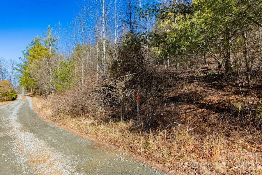 999 Rosalie Lane #6, Waynesville, NC 28785 - Image #3