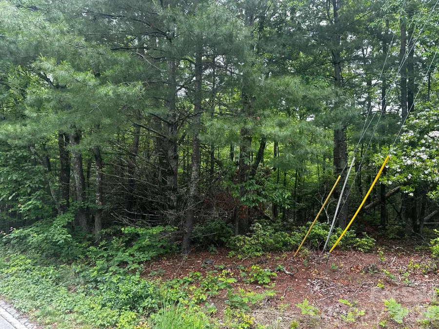 784 Shumont Road, Black Mountain, NC 28711 - Image #3