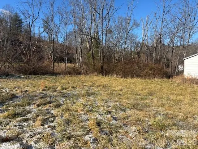 221 Crooked Creek Road, Mars Hill, NC 28754 - Image #1