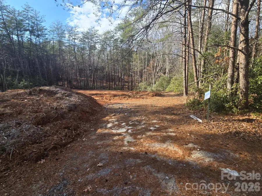 Lot 38 Dalton Court, Lake Lure, NC 28746 - Image #2