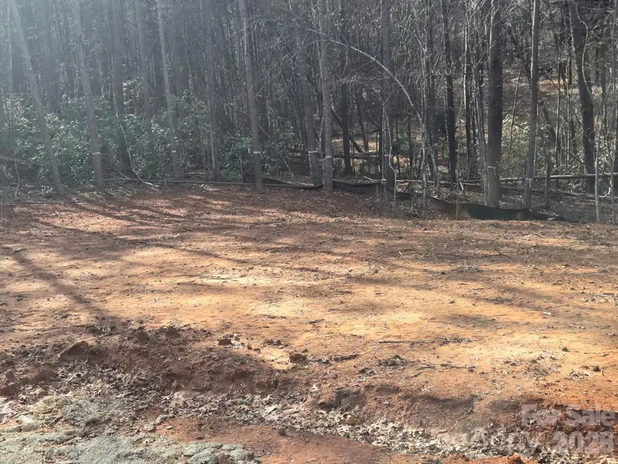 Lot 38 Dalton Court, Lake Lure, NC 28746 - Image #3