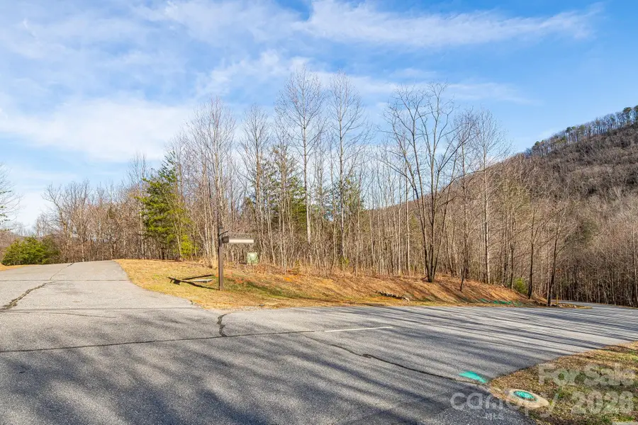 2049 W Deep Gap Farm Road, Mill Spring, NC 28756 - Image #2