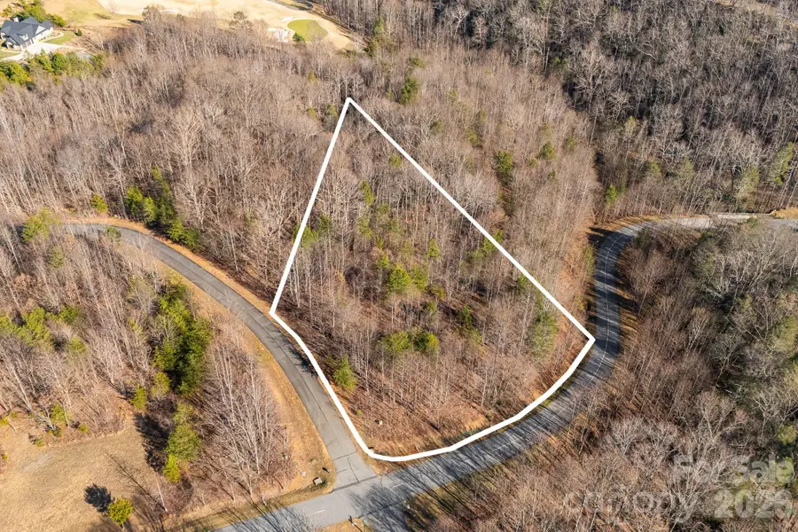 2049 W Deep Gap Farm Road, Mill Spring, NC 28756 - Image #3