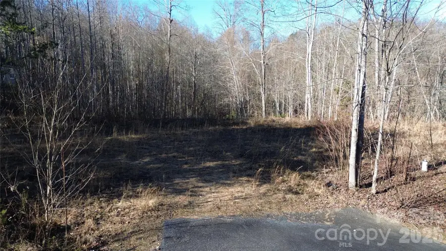 138 Fairlane Loop #19, Whittier, NC 28789 - Image #3