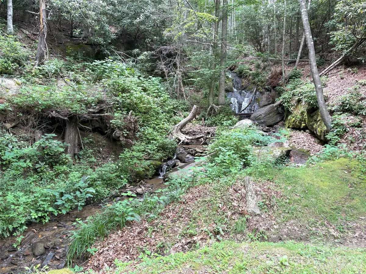000 Valley View Drive #14, Maggie Valley, NC 28751 - #1