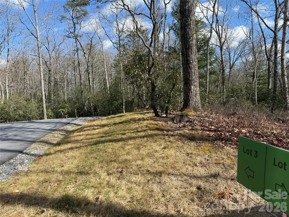 Tract 3 Turtle Ridge Trail, Mills River, NC 28759 - #1