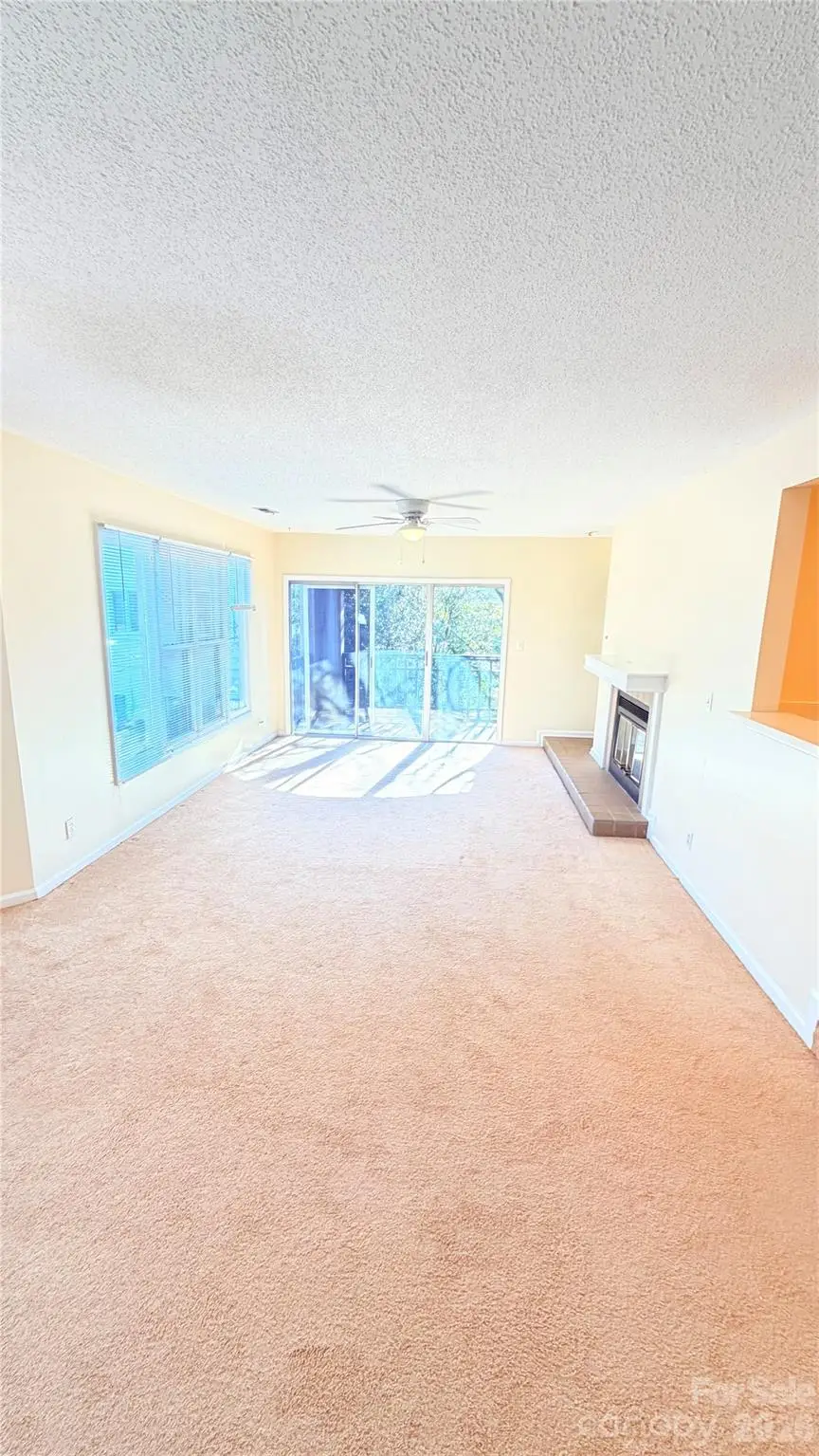 1101 E Morehead Street, Charlotte, NC 28204 - Image #3