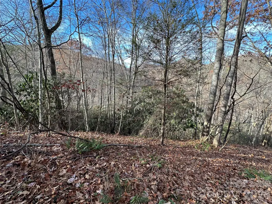 00 Rock House Cove Road #2, Clyde, NC 28721 - Image #3