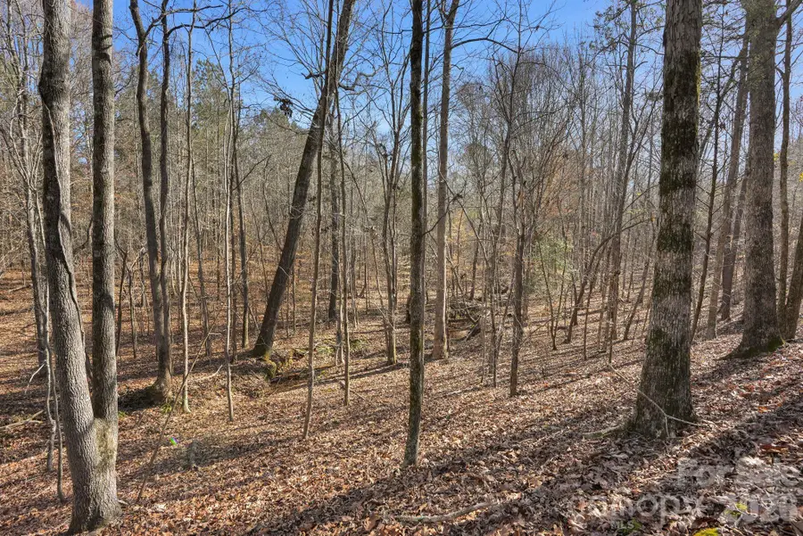 0000 Shannon Road, Blackstock, SC 29014 - Image #3