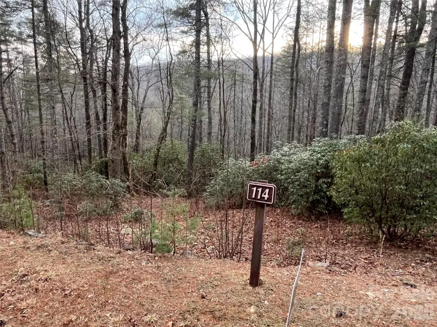 Lot 114 Huckleberry Ridge Lane, Zirconia, NC 28790 - #3
