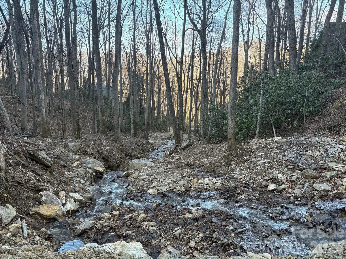 TBD Thrush Drive #20, Maggie Valley, NC 28751 - Image #1