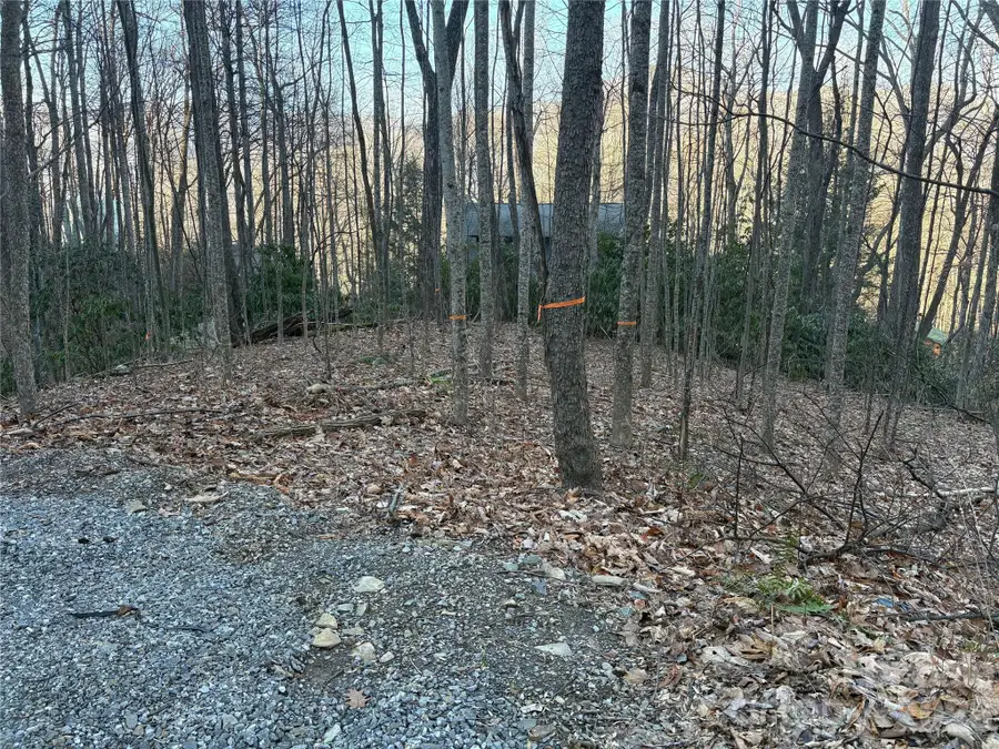 TBD Thrush Drive #20, Maggie Valley, NC 28751 - Image #2